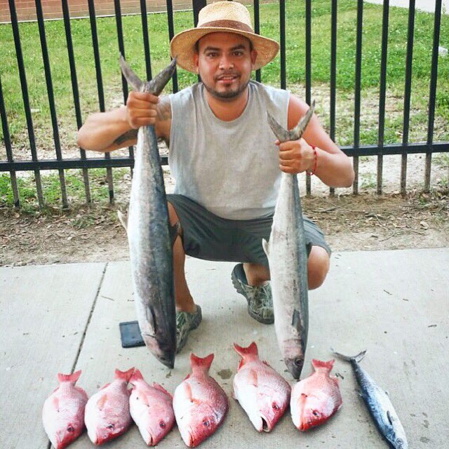 jaybirdfella's tweet photo. Few fishing from yesterday's trip #offshore #freeport #texasnapper #kings https://t.co/xK7bDjBr53