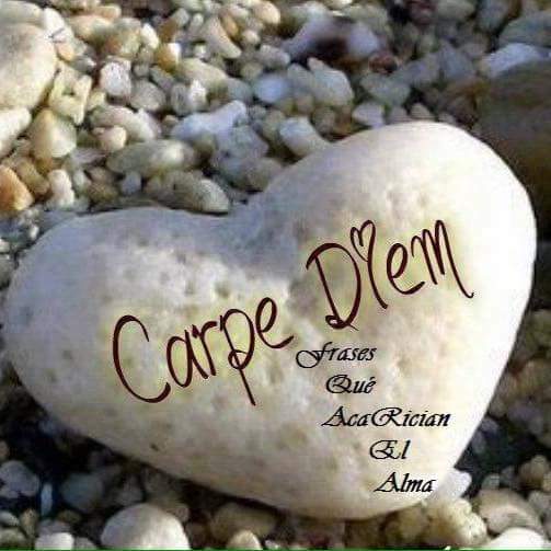 Maitechu1's tweet photo. Mi nuevo tatuaje..... la frase lo dice todo https://t.co/o0qW2pdvFo