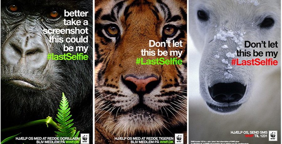 8 wildlife conservation campaigns to celebrate #WorldForestDay | Social  Samosa