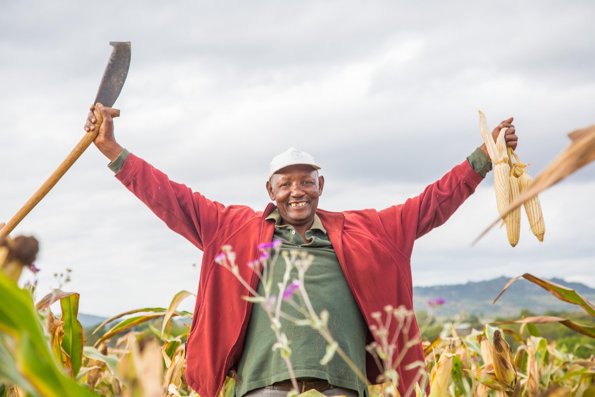 jakobFa's tweet photo. Mr. Losiok had 360kg #maize in 2015. Now 2000kg! @KirkensNodhjelp #theSHEproject #tanzania @noradno @WFP #PPP https://t.co/LREjMOvXWB