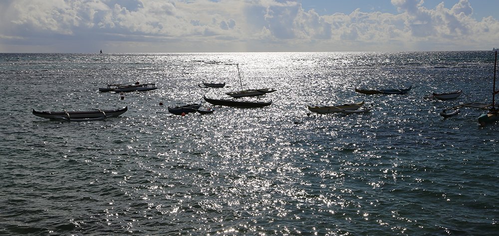 AltaClub1883's tweet photo. Alta Club Members can now enjoy the Outrigger Canoe Club on Waikiki Beach
#AC1883 https://t.co/0nFfZaikOc