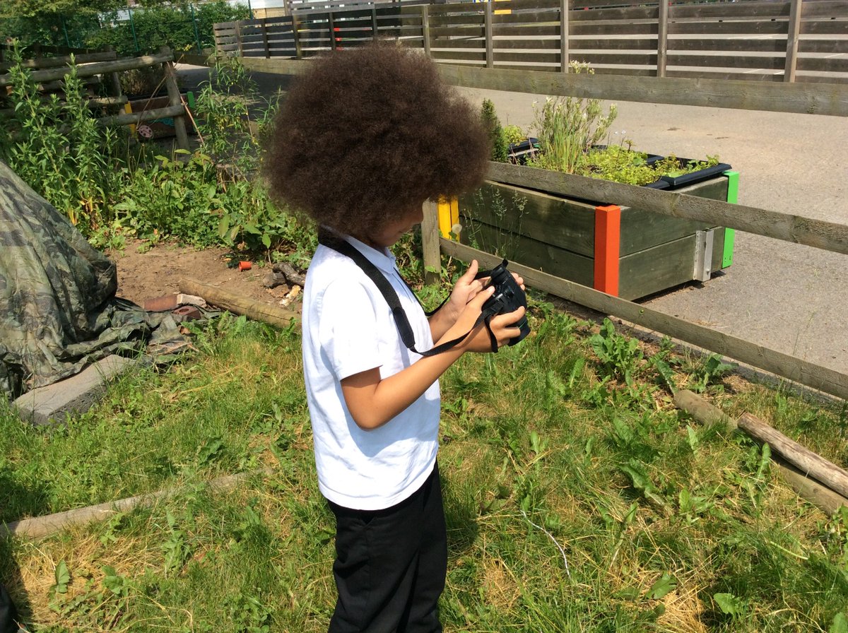 AldermoorFarm1's tweet image. Investigating leaves #Year2Science