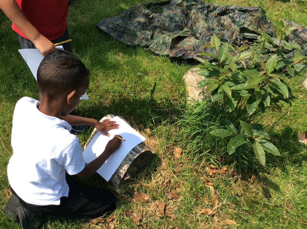 AldermoorFarm1's tweet image. Investigating leaves #Year2Science