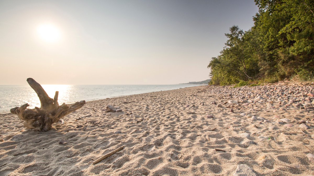 RoseviaResort's tweet photo. Rosevia Resort to wyjątkowe miejsce w Polsce. zdrową żywność i harmonię  ze środowiskiem. 
https://t.co/xE94FxiaAB https://t.co/V6kYhVtZsn
