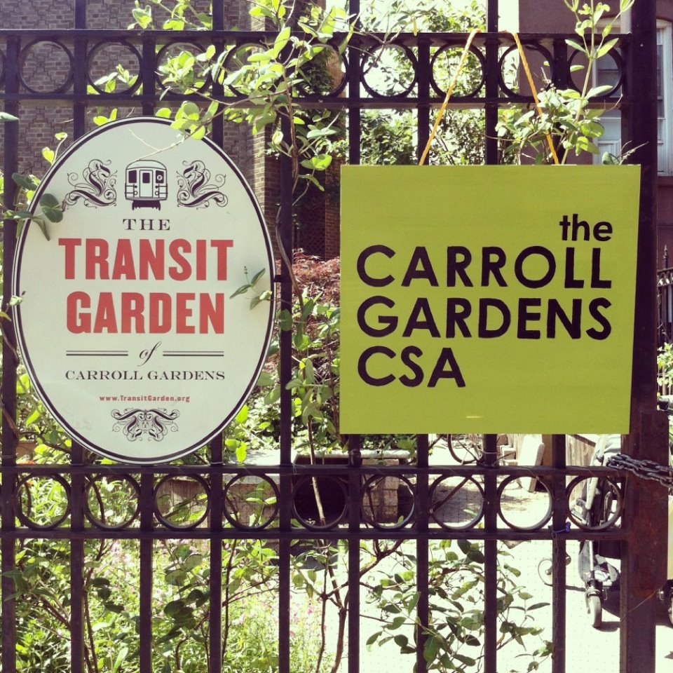 Carroll Gardens CSA tweet media