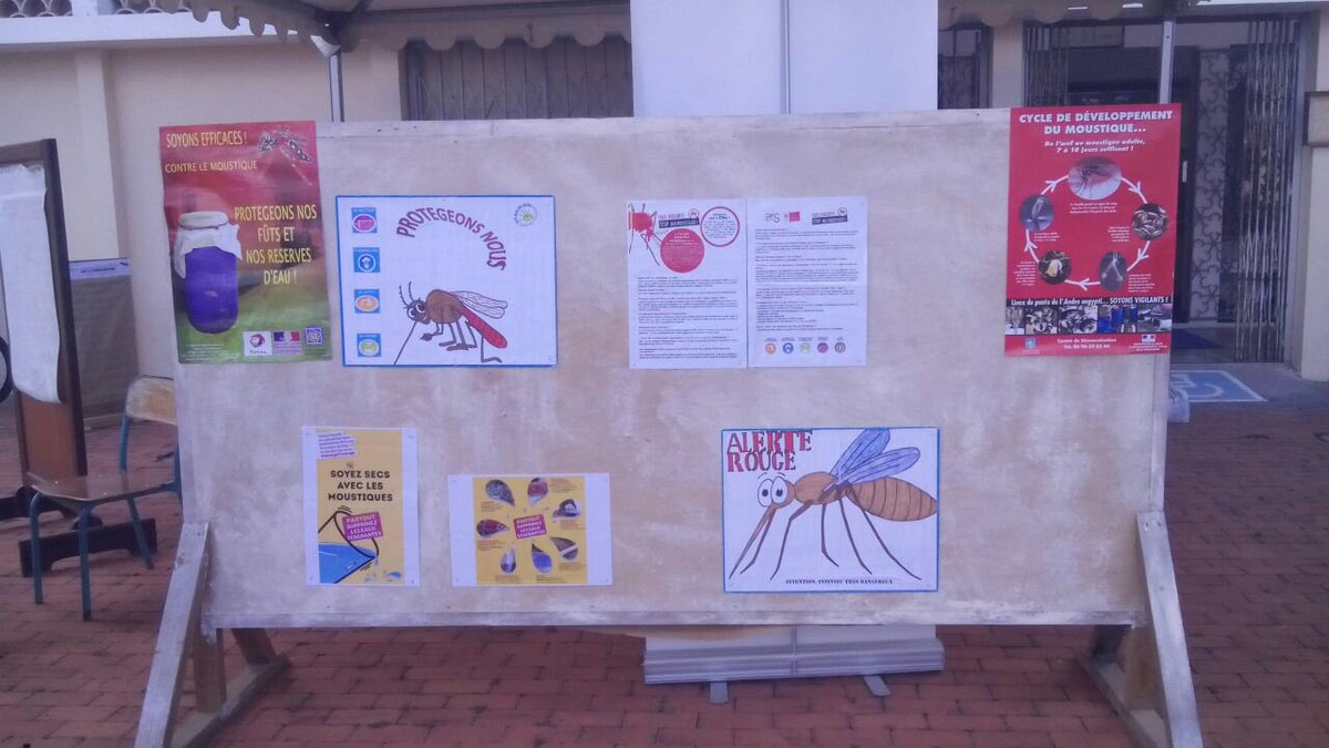 CTM_Martinique's tweet photo. #JCM2016
#Journéecontrelemoustique
Jusqu'à 12h30, RDV à la Mairie du Carbet pour vs renseigner et partager vos idées https://t.co/4CaCnzo2W7