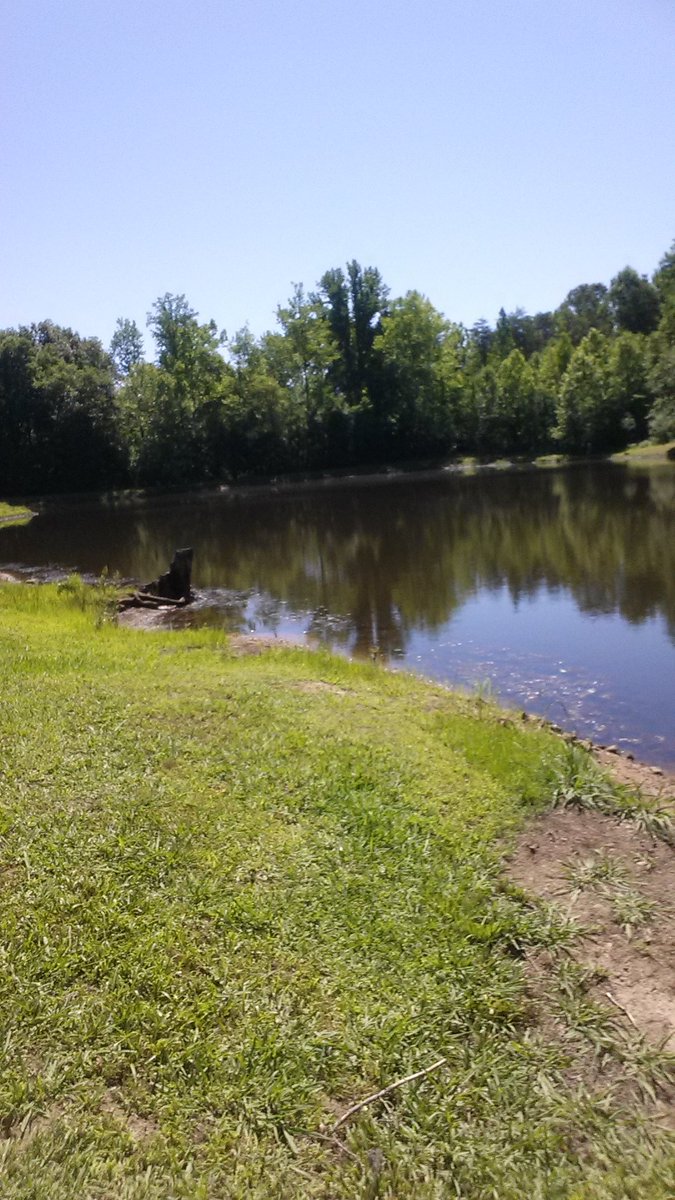 CashionDeborah's tweet photo. The lake cabin refreshes me and gives me alone time with God. Deer watering each morning shows his glorious majesty. https://t.co/HB4K2saF1t