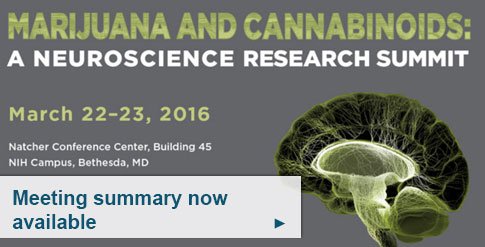 NIDAnews's tweet photo. Meeting summary and video links for each session from the #MJNeuroSummit are now available: https://t.co/OXQXAG1zKp https://t.co/hoUCUIh3AJ