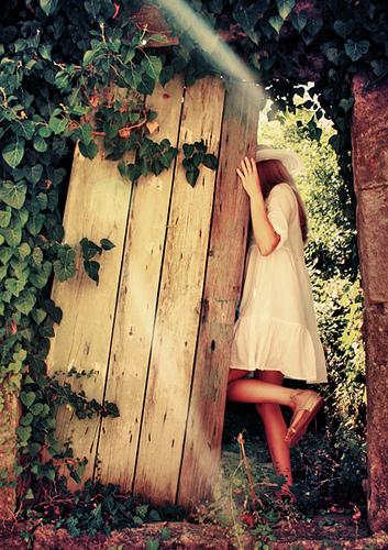 PerugiaFlower's tweet image. "Là dove coltivi la rosa non può crescere il cardo." #citazioni #ilgiardinosegreto #imigliorifilm #perugiaflowershow