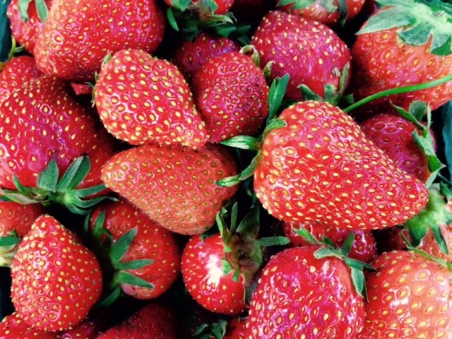 Get them while they are here.  There is nothing like this Long Island deliciousness!