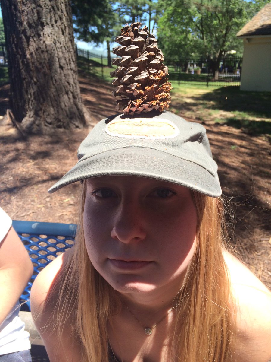 thingsones's tweet image. Pinecone @ Kings Dominion