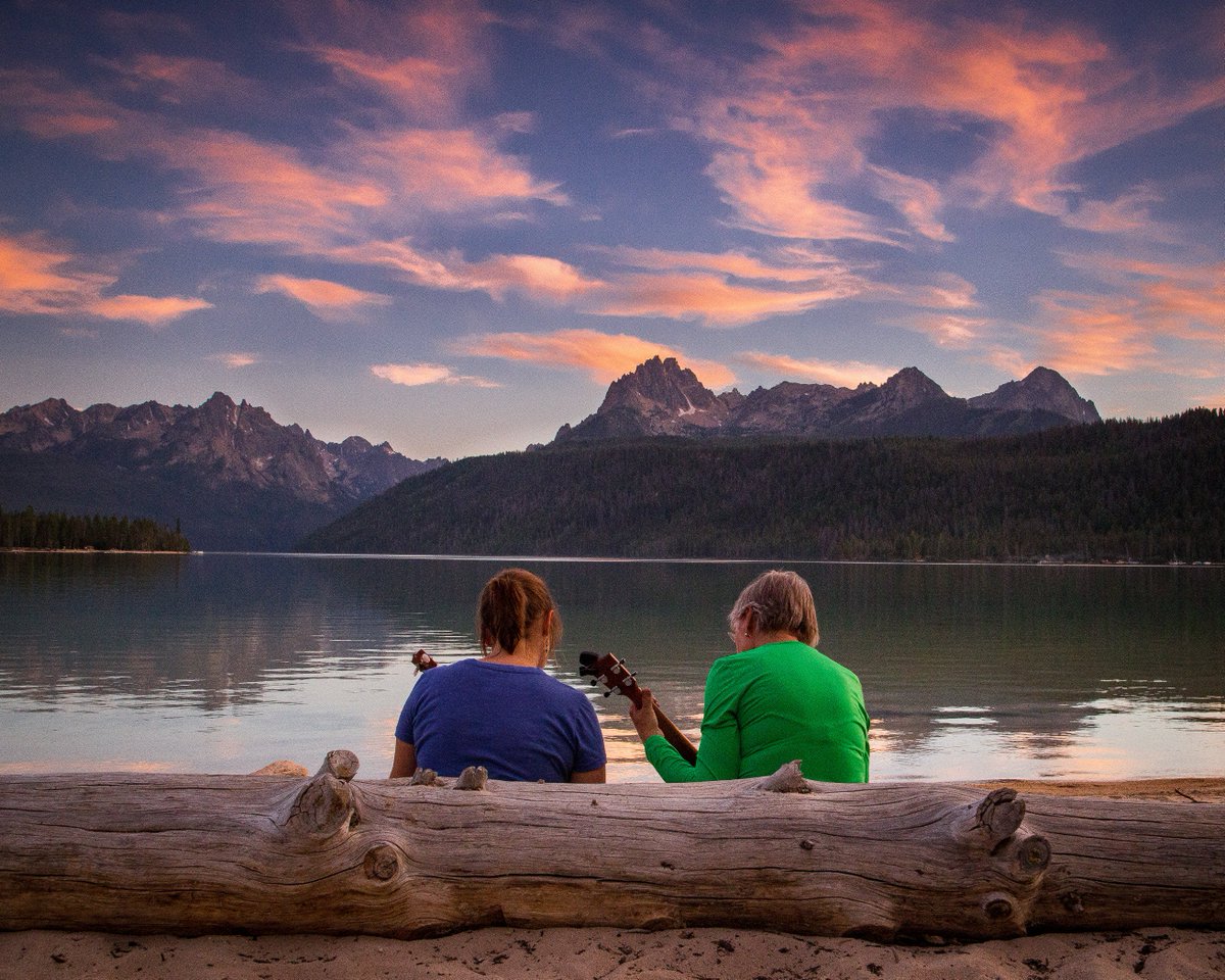 Share the Experience tweet media