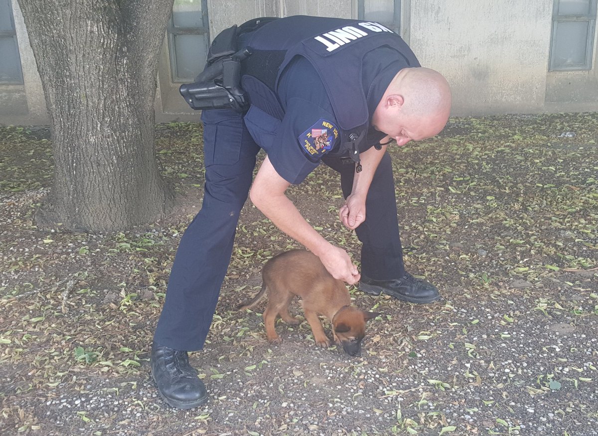 UAlbanyCareer's tweet photo. Never too early to start planning a #career! This little guy has a bright future in #CriminalJustice. @UAlbanyUPD https://t.co/SczHowYwHh