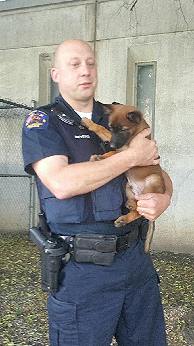 UAlbanyCareer's tweet photo. Never too early to start planning a #career! This little guy has a bright future in #CriminalJustice. @UAlbanyUPD https://t.co/SczHowYwHh