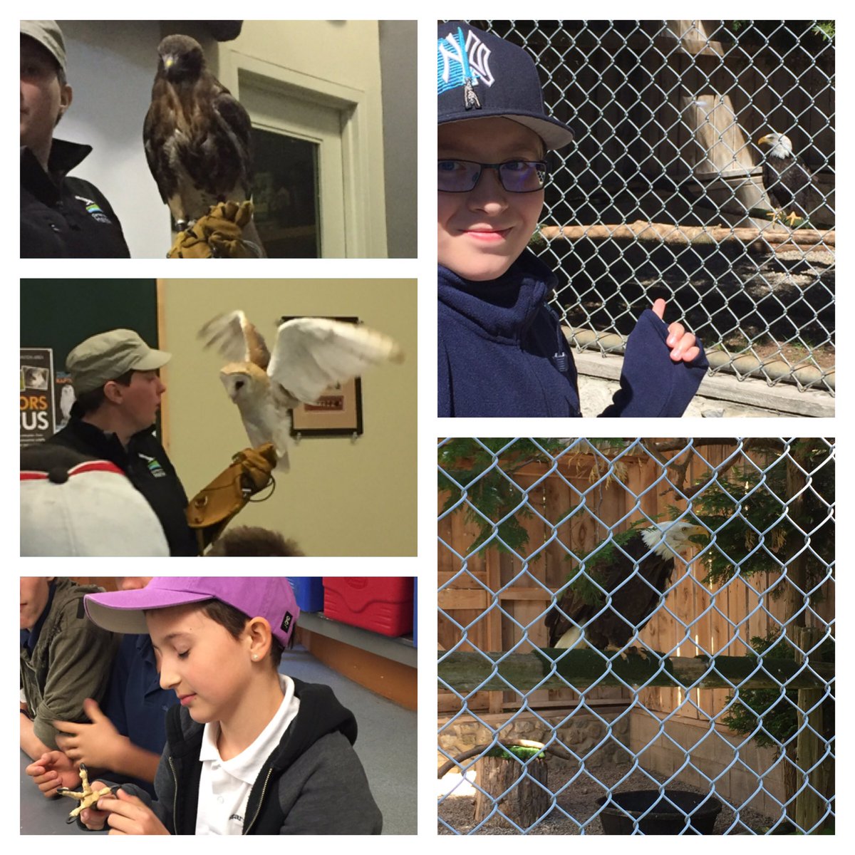 Intermediate Senior tweet media