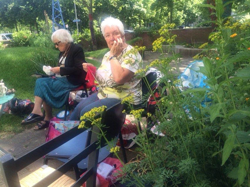 rinibiemans's tweet photo. Gezellig breien in de #Erasmustuin #creatiefbeheer #tmbotu #vrouwenvleugel en natuurlijk praten over de dingen... https://t.co/Hw9UEmduW3
