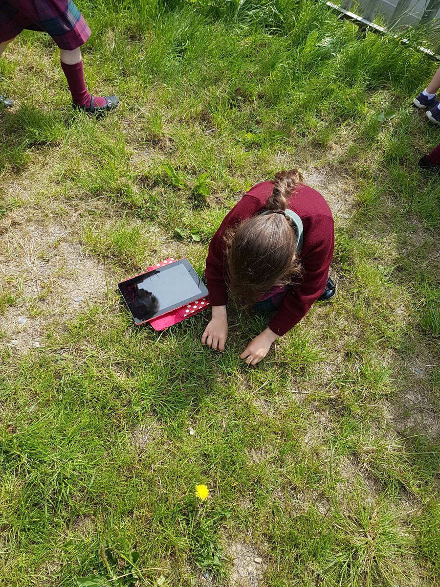 MsZMannixsClass's tweet photo. We went on a #Minibeast  hunt today https://t.co/rTBlgHk7nC