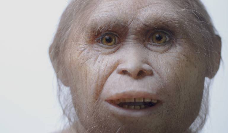 CaracolRadio's tweet photo. Revelan nuevas evidencias sobre el origen del 'Hobbit' de Indonesia https://t.co/F05DwZeSrZ https://t.co/yl8OxXuVep