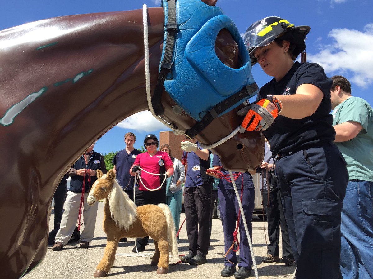 OntVetCollege's tweet photo. Large Animal Rescue Training at OVC today.  More on Snapchat.  TY to our sponsors @merial @OEF_Horse @EquineGuelph https://t.co/exKuaJ0ekK