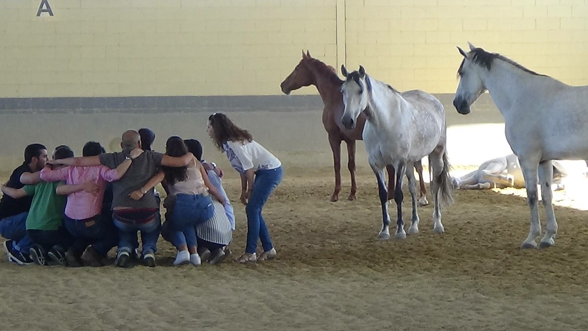 Alumnos de la 4ª Edición del Máster #MBA disfrutaron de la sesión de #Coaching caballos... fb.me/4E5Foy4s9