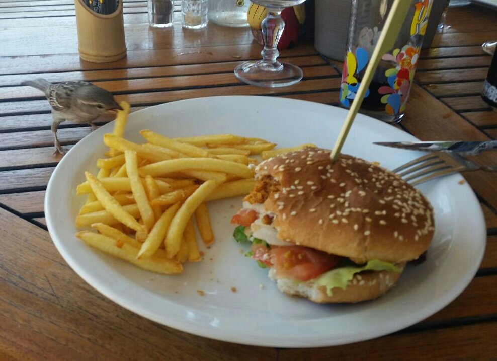 Offenbar ist heute teilen angesagt #Beachrestaurant #France #Camargue