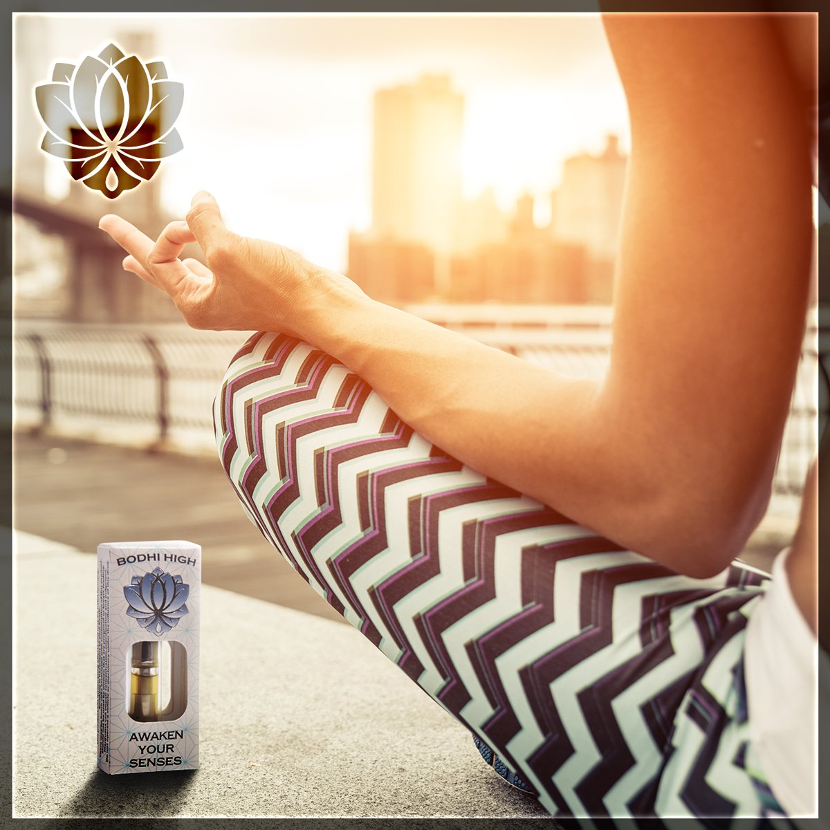 We can only be said to be alive in those moments when our hearts are conscious of our treasures. -THORNTON WILDE.