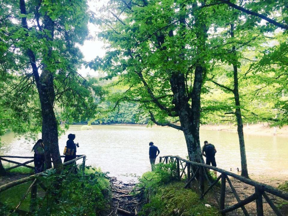 GarganoQuality's tweet photo. La Foresta Umbra qui nel @ParcoGargano ha incantato i nostri blogger:)
#Sud2016 #BluGargano #Gargano #weareinpuglia https://t.co/q6dI2QoTce