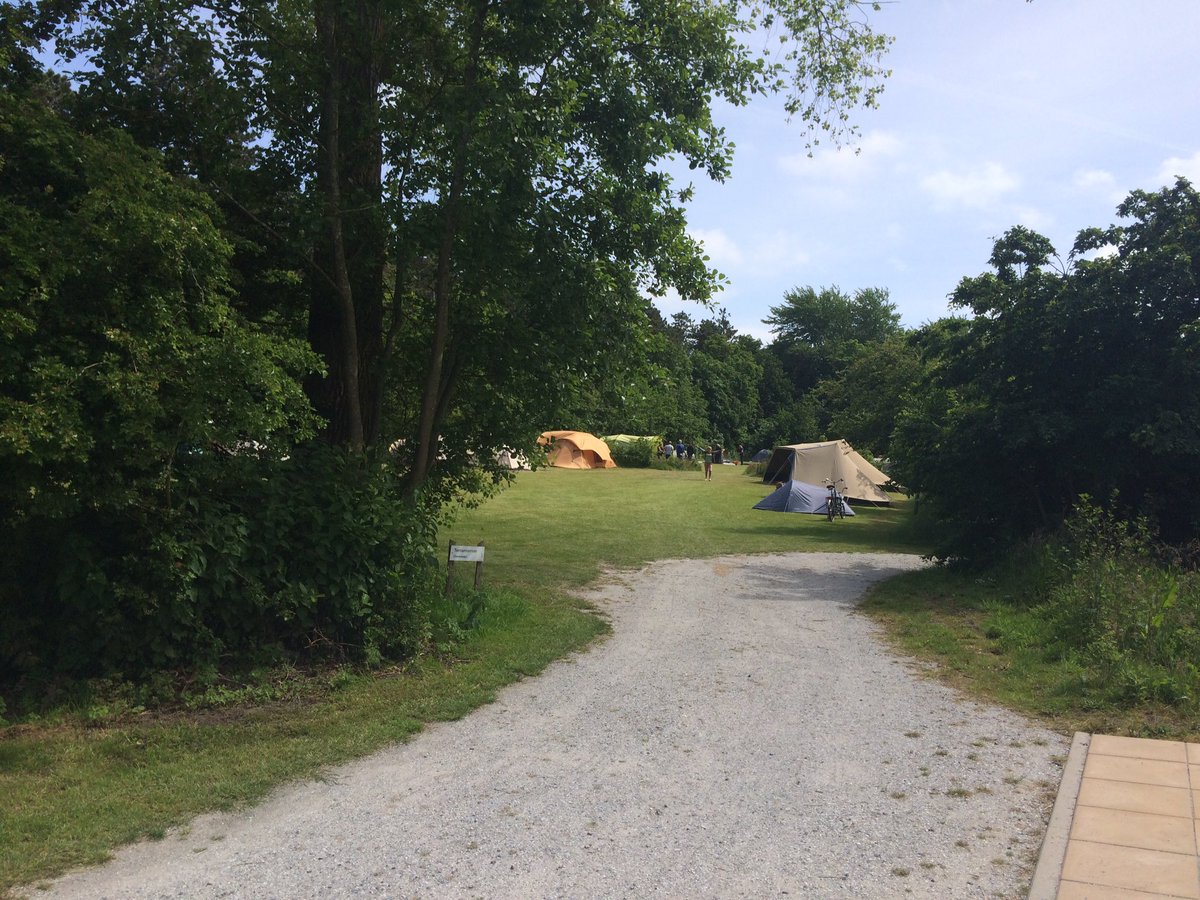 Gezellige #oerol drukte alweer op terreinen #staatsbosbeheer Terschelling