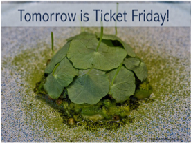 TroismecLA's tweet photo. #ticketfriday time!! -10am tomorrow tickets for 6/20-7/1 on-sale. https://t.co/1k1wnniTzT #troismec 📷 @ShaylaDeluy https://t.co/rEOKtPJag8
