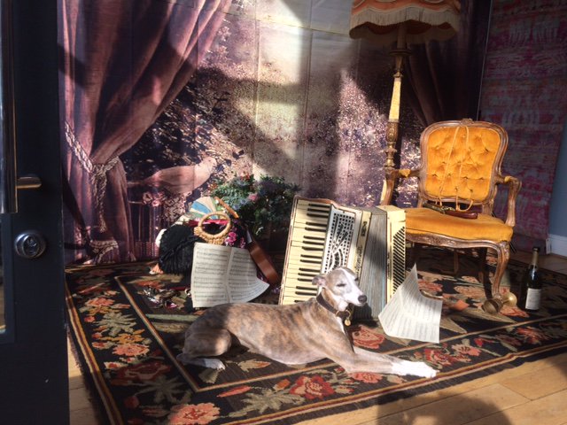 #CDQstreetparty Ready to party in Chelsea tonite? Don't miss <a href="/KnotsRugs/">Knots Rugs</a> Bohemian Photo booth &amp; meet Fizz the dog