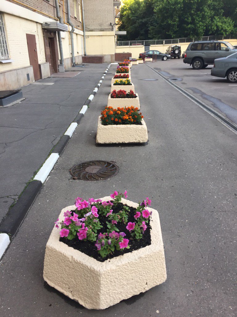 FriedemanKohler's tweet photo. Schön bei uns: #Sommer #Moskau #UPDK https://t.co/iRT4K0Rkmi
