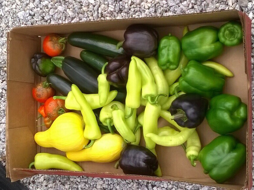 AR_Grown's tweet photo. AR staff is the best!  Taking care of the kids while the parents are away!  #certifiedARgrown https://t.co/8dPqUfMsJB
