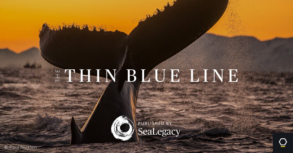 THE THIN BLUE LINE shines light on our world's oceans: maptia.com/thinblueline with @cmittermeier and <a href="/PaulNicklen/">Paul Nicklen</a>