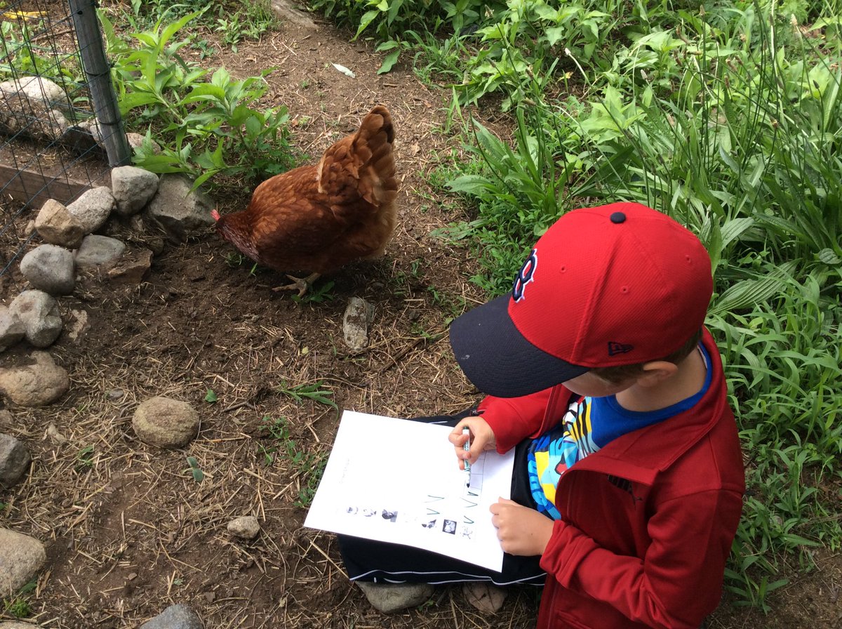 MrsWymansClass's tweet photo. @landssake Thanks, Farmer Anna, for a great visit today! #community #seasonal changes #walkfromschool! https://t.co/yrFOygEkZP