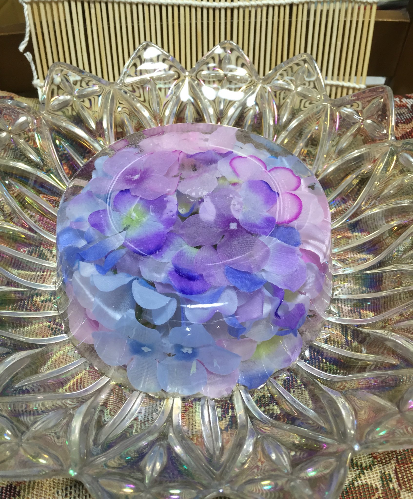 卯月かりん 筋さに No Twitter 花氷 氷中花というと教えていただきました 第二弾が出来ました 紫陽花です 氷なのに 何だかパステルカラーのゼリーみたいになりました 氷中花の記録 T Co Vtgfgvbjkn Twitter