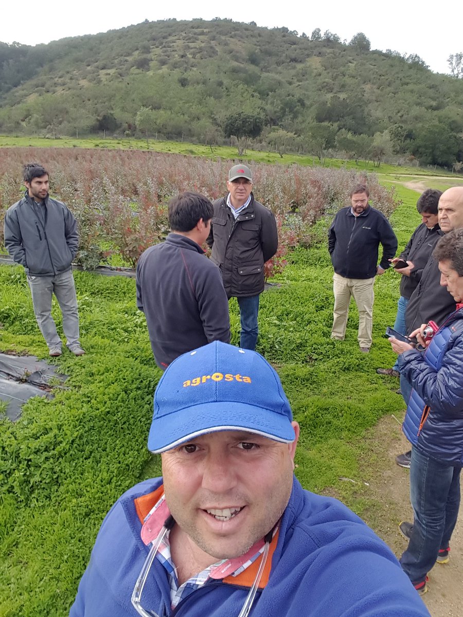 agrofresas's tweet photo. Visitas tecnicas a huertos de berries en Chile por parte del equipo tecnico de Agrofresas S.A. https://t.co/8x9B5z6ccC