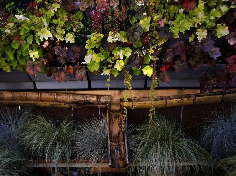 EverettHerald's tweet photo. #Sorticulture garden festival in Everett is happening this weekend #verticalgardens #growup
https://t.co/uVMD1U1N8B https://t.co/UgbzbnTEma