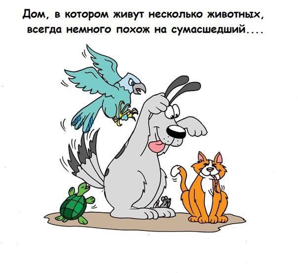 Точно бл😜