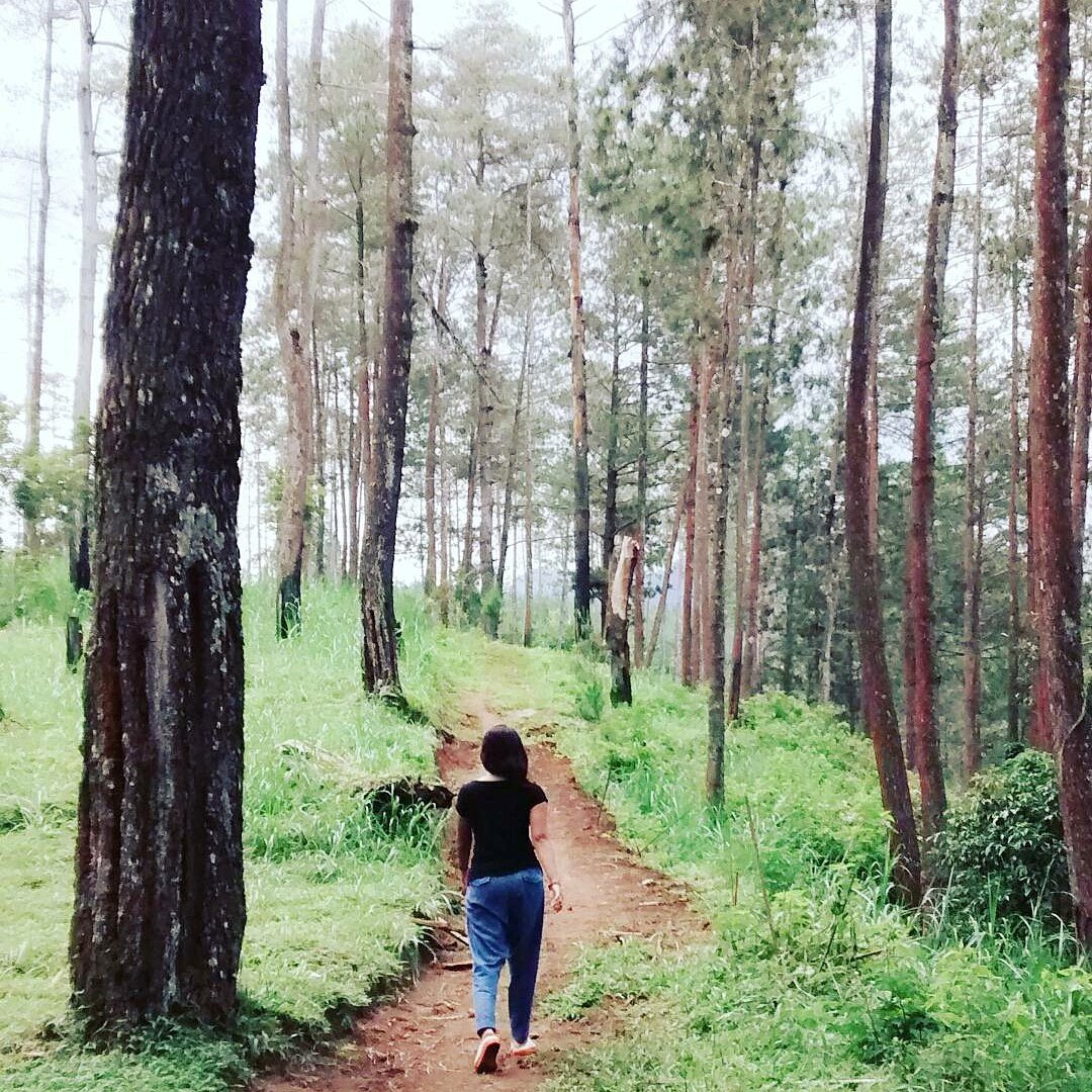 WonogiriKeras's tweet image. Asulamat pagi, lik. Pokoke maju terus, mbuh kepiye carane.