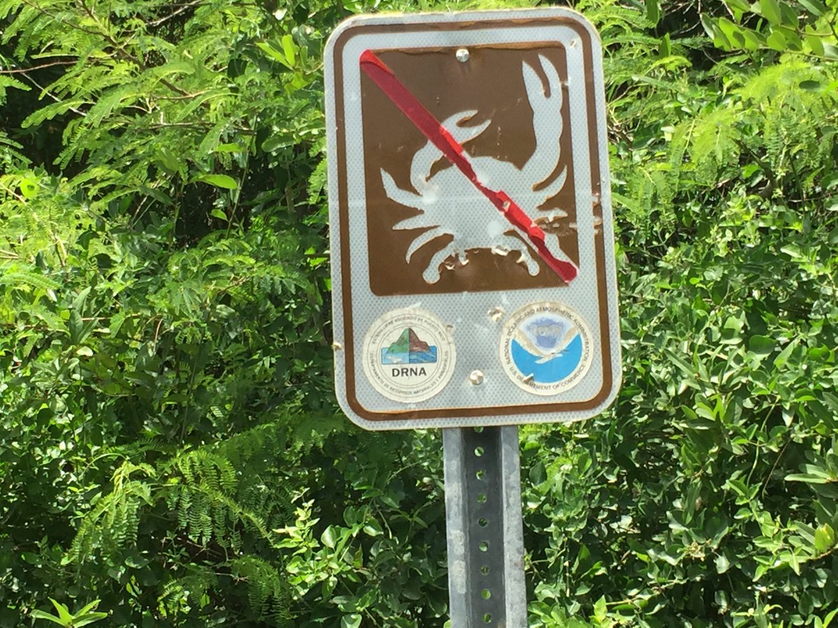 Arbitrary Signs (@arbitrarysigns) | Twitter