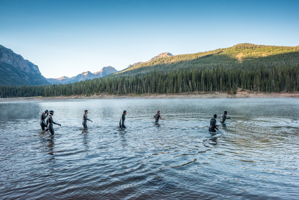 Treefighter tweet media