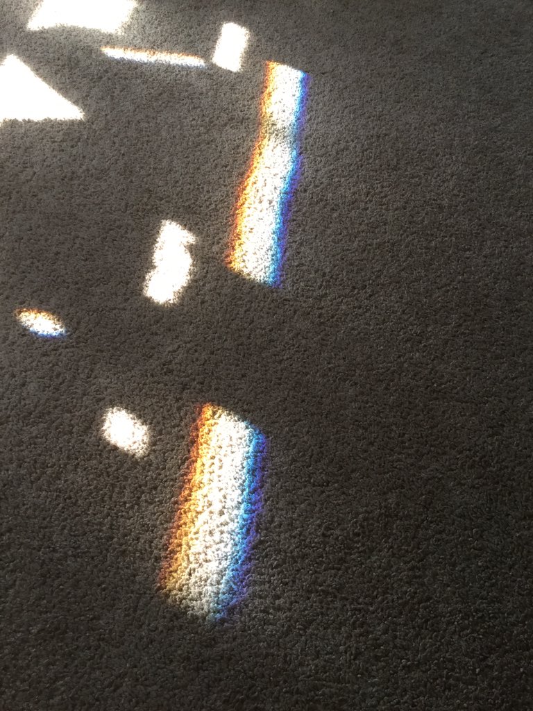 samweberchem's tweet photo. A RAINBOW ON MY CARPET?!😮perfect demonstration of the dispersion of light and the visible light spectrum🌈 #drcschem https://t.co/3wEPYGlrTC