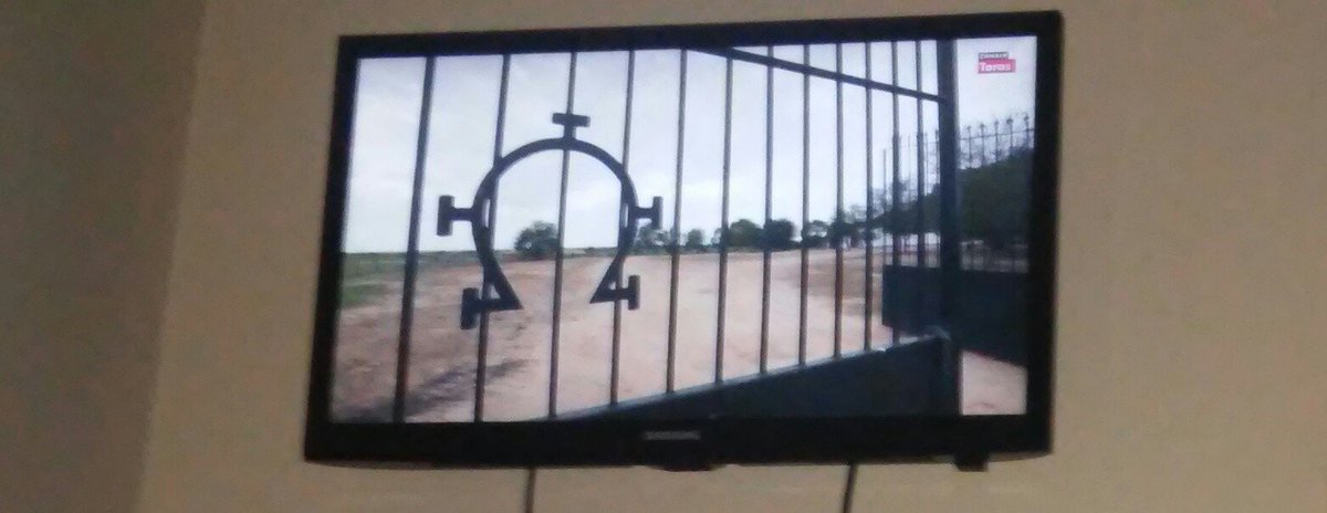 jesusmagon1982's tweet photo. El mejor debate es ponerse un buen capítulo de @paisajeherrado y hoy toca el de los toros chatos #HerradoPR B.Noches https://t.co/FKzop6RTnc