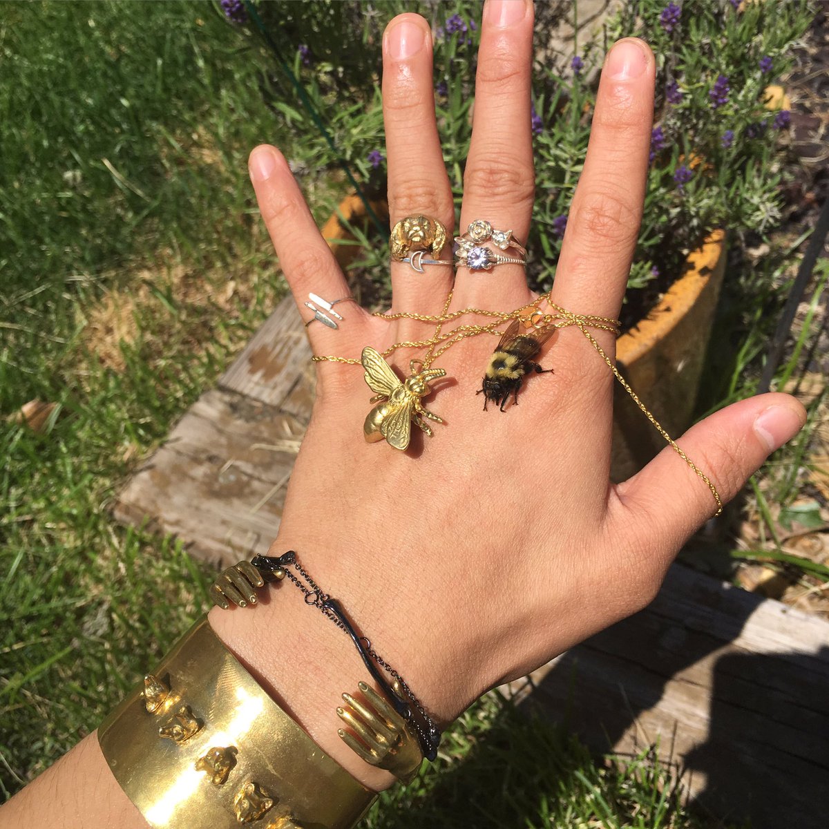 verameat's tweet image. Catch a #TinyMagic at VeraMeat.com fo yo #summah ✨🐝⚡️or come hang wit us👯✍