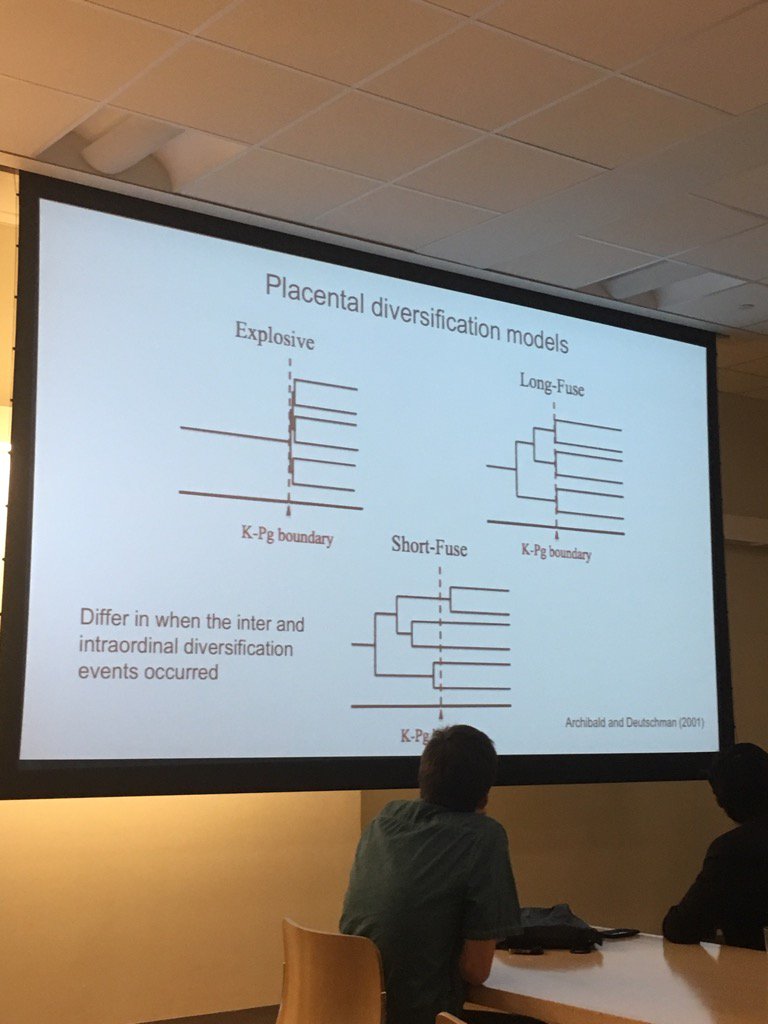 pguptascience's tweet photo. Study of placental diversification by HS student researchers #pinkertonscholars using #morphobank @SciNYConsortium https://t.co/06D3FgjbO1