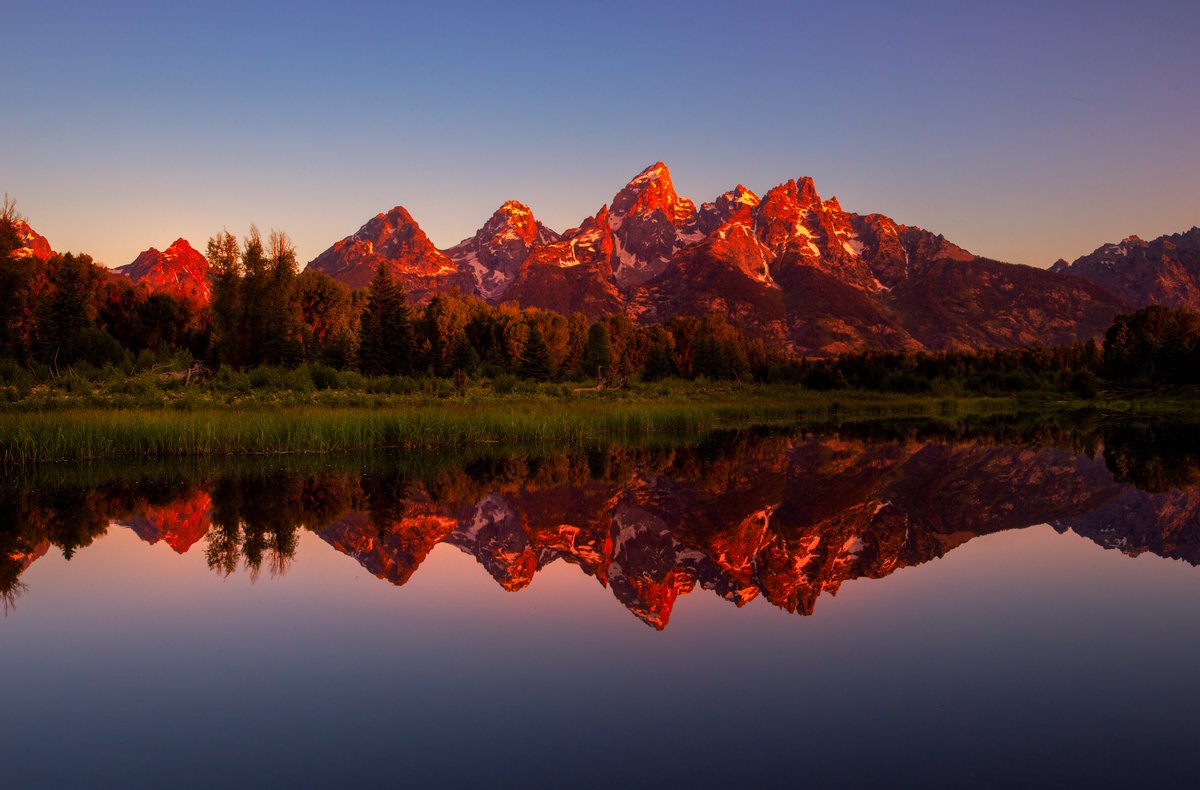 Share the Experience tweet media