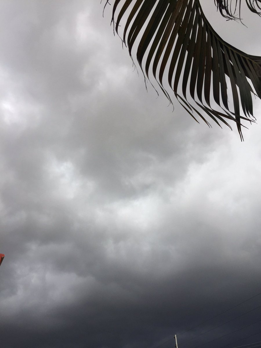 cfacid's tweet photo. ¡Hasta 🐠🐟🐡 van a caer! 💦 @ClimaYucatan
C.60Nte. ☔️ https://t.co/VC6xGBhqP0
