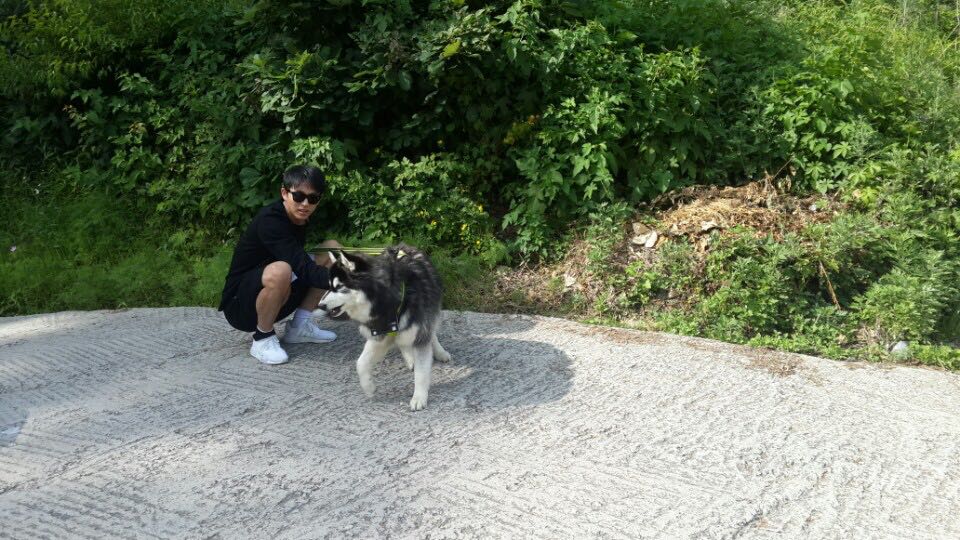 LIM SEUL ONG (@2among) on Twitter photo 