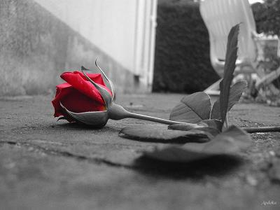 لُآ تصرخ بْأنگ مۆجۆدِ منْ يَريَدِگ س يَرآگ حتى فَيَ آلُظلام ..!!💔💭