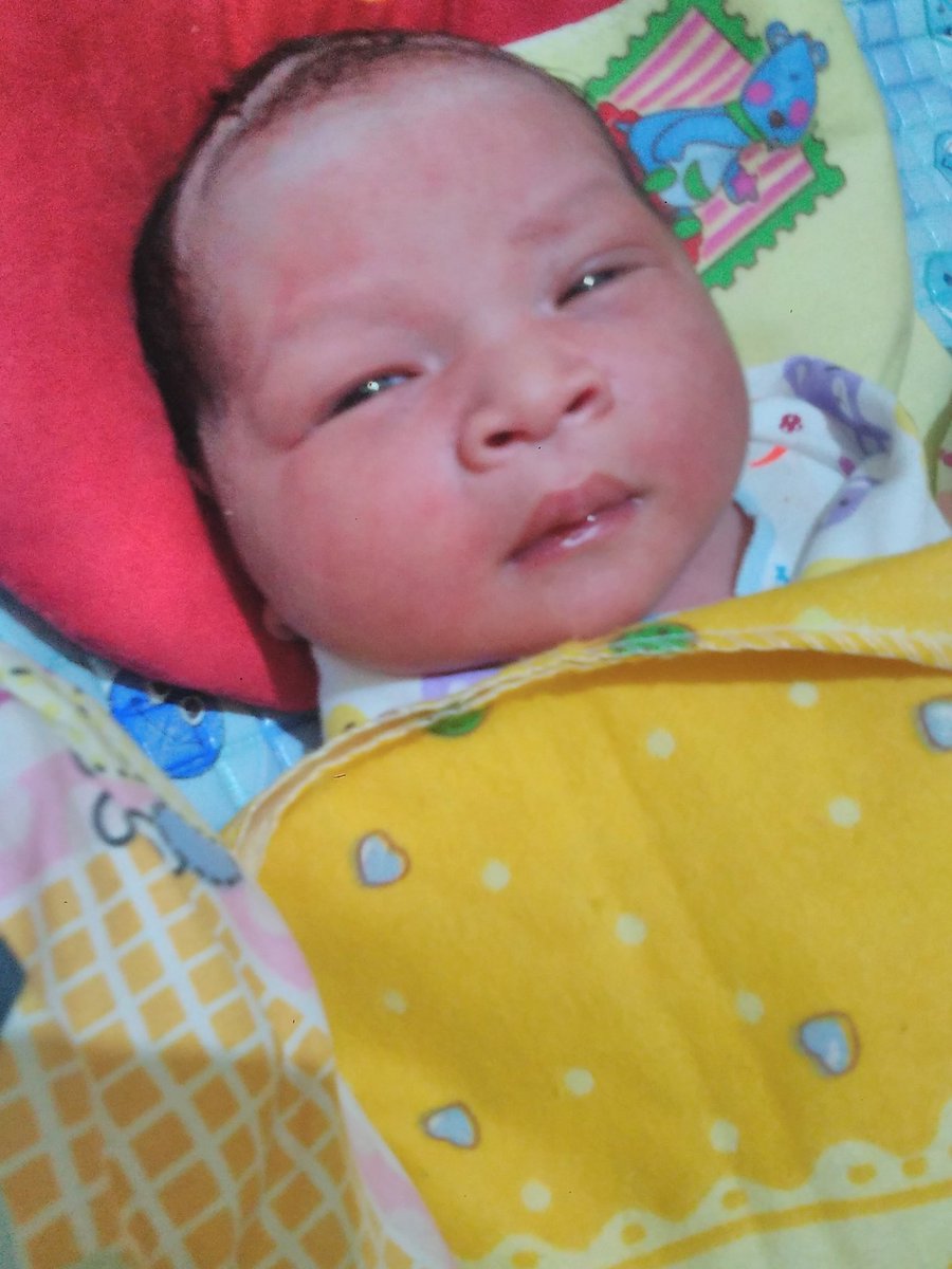 Fikhri Armawan tweet media